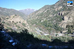 Estrada